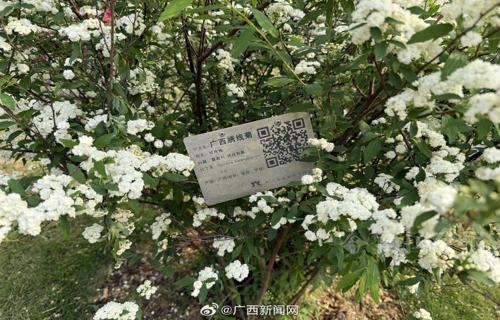 索尼新款PS5及无障碍控制器评测五年研发成果如何